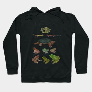 Amphibians and Reptiles Hoodie